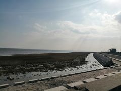 -南汇嘴观海公园