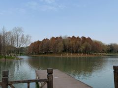-尚贤河湿地