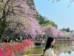 -星湖旅游景区七星岩