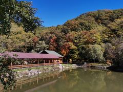 -参仙谷生态旅游度假区