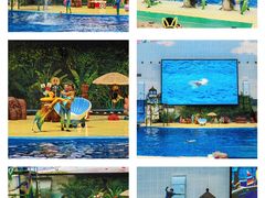 -海合安天津极地海洋公园