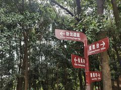 -阳台山森林公园