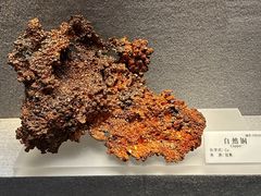 -贵州省地质博物馆