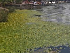 -长春市南湖公园