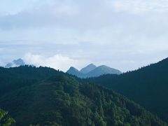 -武陵山森林公园