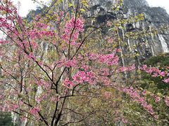 -南溪山景区