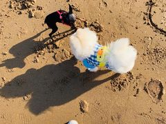 -青岛第三海水浴场