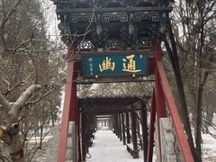 -晋祠公园