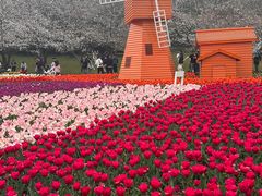 -苏州上方山国家森林公园