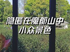 -上海佘山国家森林公园西佘山园