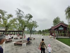 -西海子公园