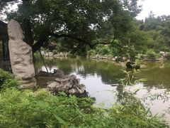 -花洲书院