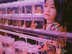 -华声天桥民俗文化园