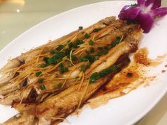 -益利大酒楼(井岸店)