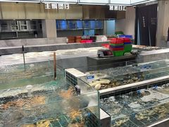 -胖大嫂渔家排档(半边山店)