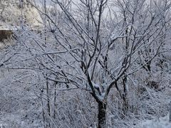 -四明山国家森林公园