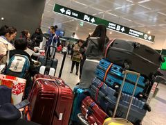 -米兰马尔彭萨国际机场