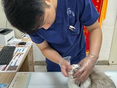 -派美特宠物医院·核磁CT·骨科肿瘤·疑难转诊(沈农禾丰店)