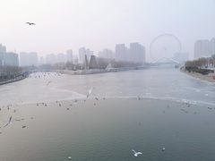 -海河游船-永乐码头(大悲院)