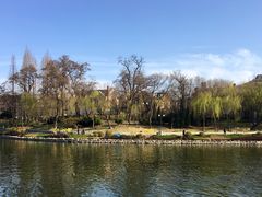 -子霖南山鲜虾面(南山总店)