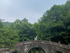 -杭州君悦酒店·湖滨28中餐厅