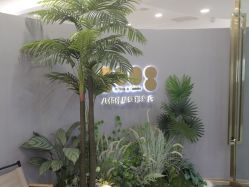 -八佰伴8008星级形象店