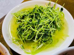-沈记菜馆(酒仙桥路店)