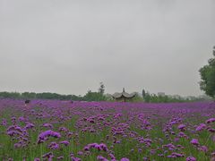 -三锐体育游泳中心