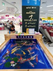-孩子王童乐园(合肥瑶海万达店)