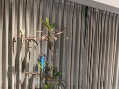 -湘满甲·黄焖甲鱼创始者·湘菜·鲁菜(潘家园店)