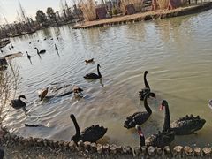 -祥源·阜阳生态乐园