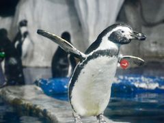 -太平洋海底世界