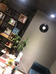 点击看大图 -藤野造型