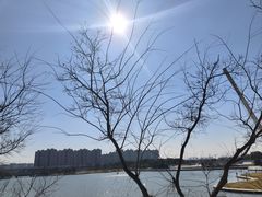 -映月湖中央公园