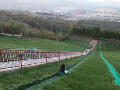 -原山国家森林公园