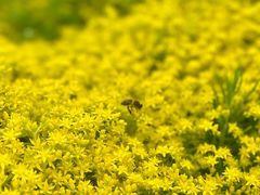 -茅草房·河畔园林火锅
