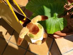 -三鹰之森吉卜力美术馆