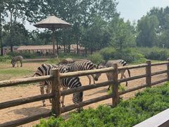 -大连森林动物园