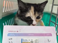 -纳吉亚猫专科动物医院博雅分院