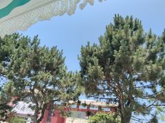 -日照海滨国家森林公园
