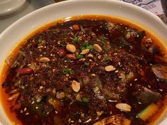 凉拌鸡-铁公鸡·四川料理(天环广场店)