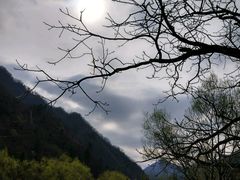 -牛背梁国家森林公园