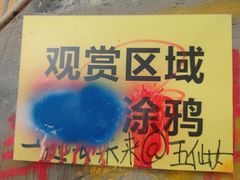 -黄桷坪涂鸦艺术街