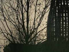 -兴隆文化园景区