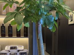 -鹿栖.精油SPA(金山世纪城店)