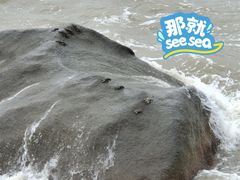-那琴半岛地质海洋公园