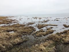 -青海湖仙女湾景区