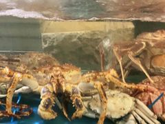 -阳光码头海鲜火锅(世纪大道店)