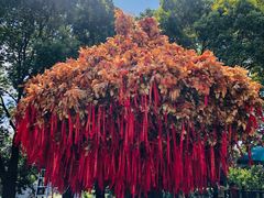 -狼山风景名胜区