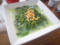 肉碎黄豆浸桑叶芽-凤阁楼果木烧鹅(鹤山陈山店)